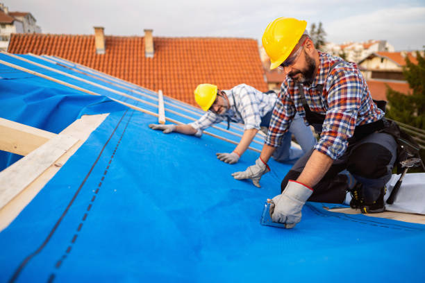 Best Sheet Metal Roofing  in Meridian Hills, IN